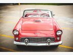 Thumbnail Photo 4 for 1956 Ford Thunderbird